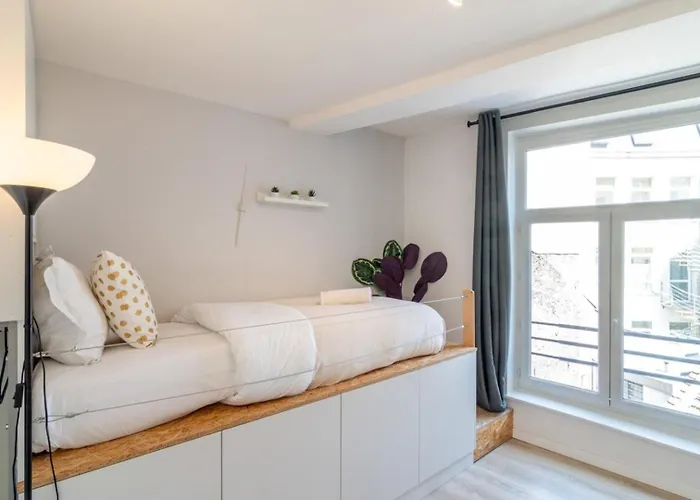 Apartment Hypercentre/railway Stations -nice Lille